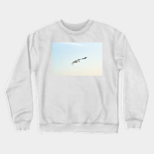 Hovering Larus Californicus Crewneck Sweatshirt